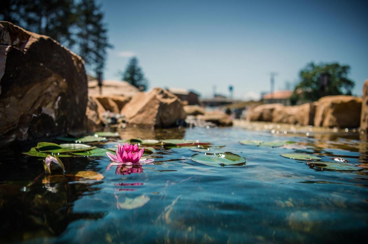 Natura Treescape Resort Wisconsin Dells Eksteriør bilde